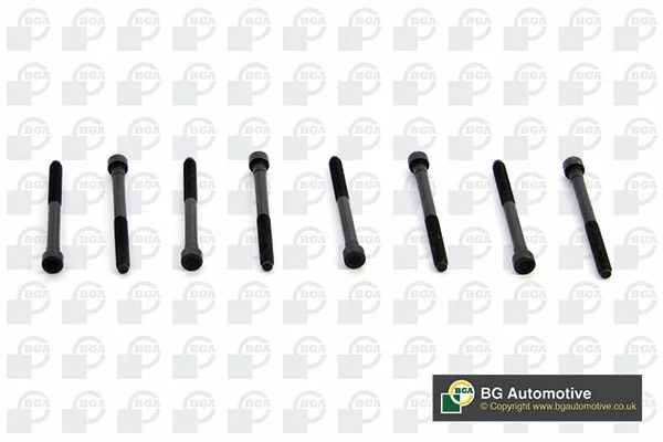 Cylinder Head Bolt Set (BK8200)