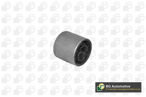 Mounting, control/trailing arm (BU5906)