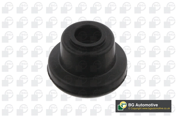 Mounting, control/trailing arm (BU8506)