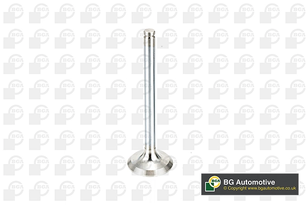 Exhaust Valve (V537851)