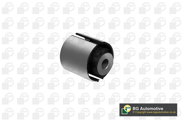 Mounting, control/trailing arm (BU9626)