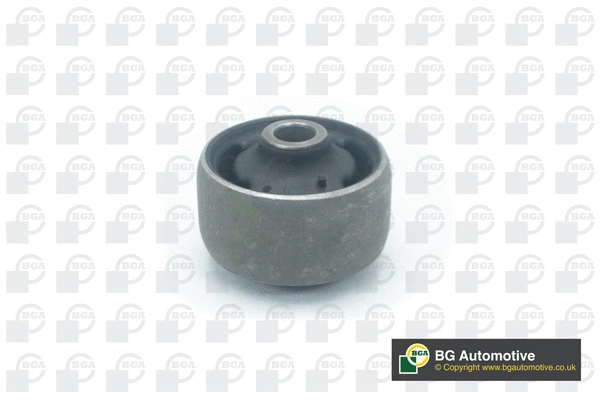 Mounting, control/trailing arm (BU2336)