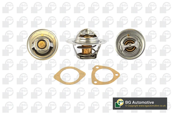 Thermostat, coolant (CT5389K)