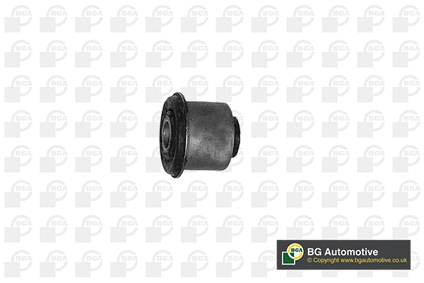 Mounting, control/trailing arm (BU1502)