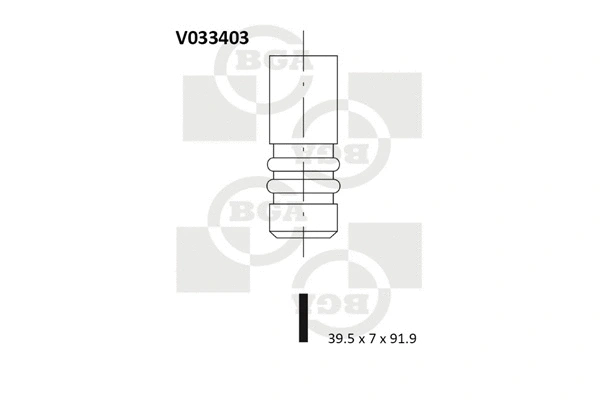 Intake Valve (V033403)