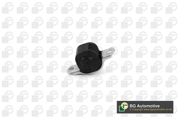 Mounting, control/trailing arm (BU6115)