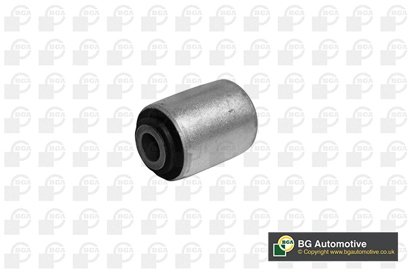 Mounting, control/trailing arm (BU2209)
