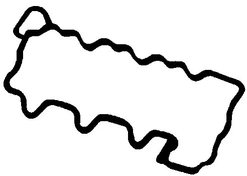 Gasket, cylinder head cover (RC7321)