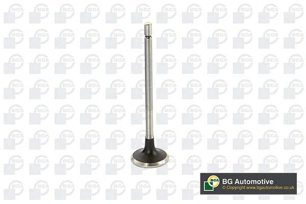 Exhaust Valve (V732125)