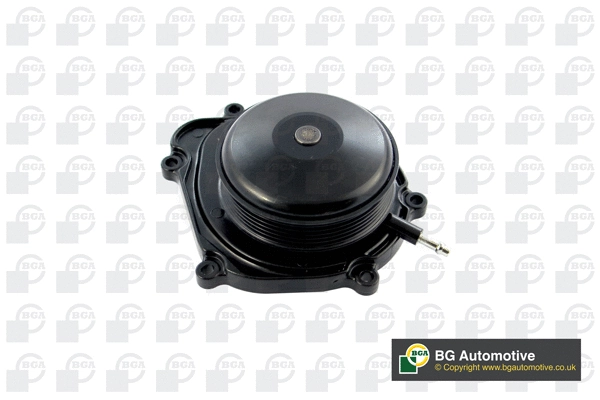 Water Pump, engine cooling (CP5603)