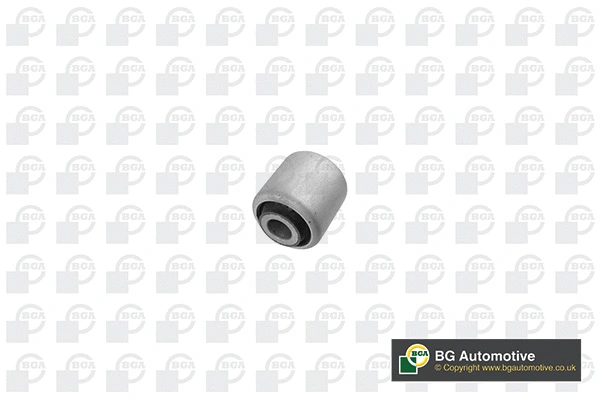 Mounting, control/trailing arm (BU0920)