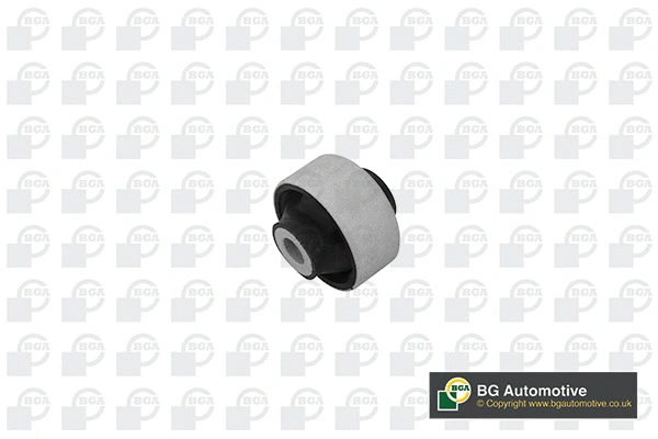 Mounting, control/trailing arm (BU2223)