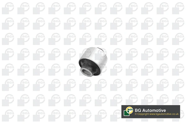 Mounting, control/trailing arm (BU5652)
