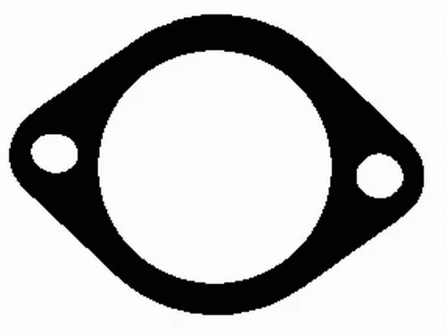Gasket, exhaust pipe (AG0060)