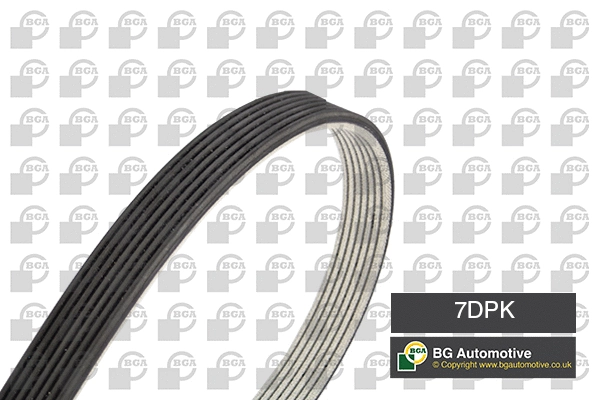 V-Ribbed Belt (7DPK1697)