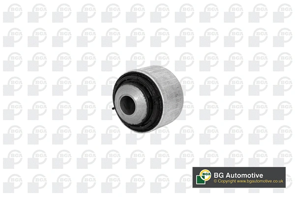 Mounting, control/trailing arm (BU0922)