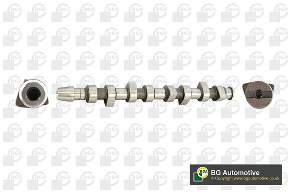 Camshaft (CS9900)