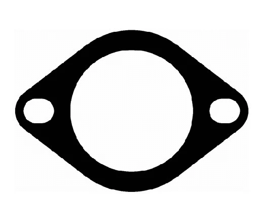Gasket, exhaust pipe (AG0273)