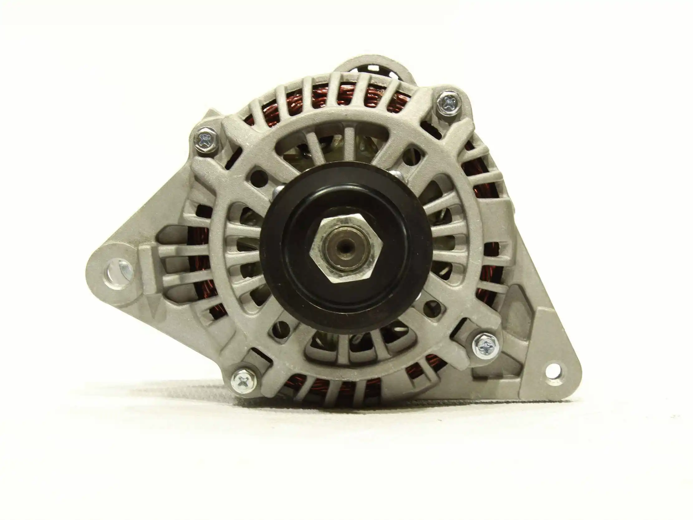 Alternator (10442301)