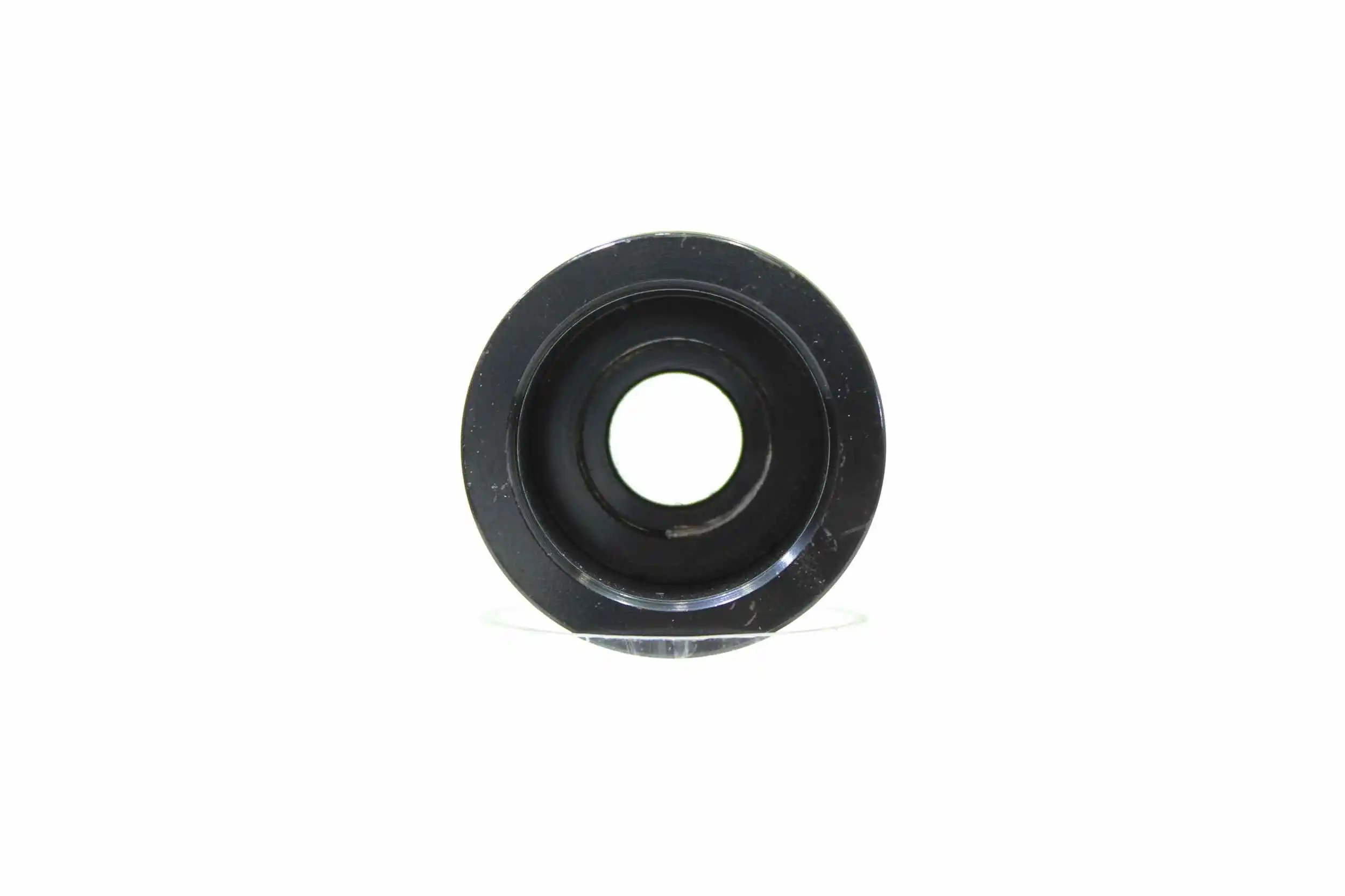 Belt Pulley, alternator (10723009)