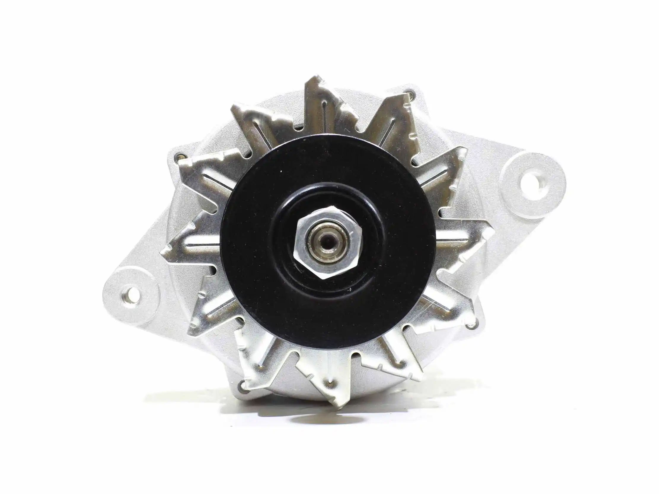 Alternator (10441886)
