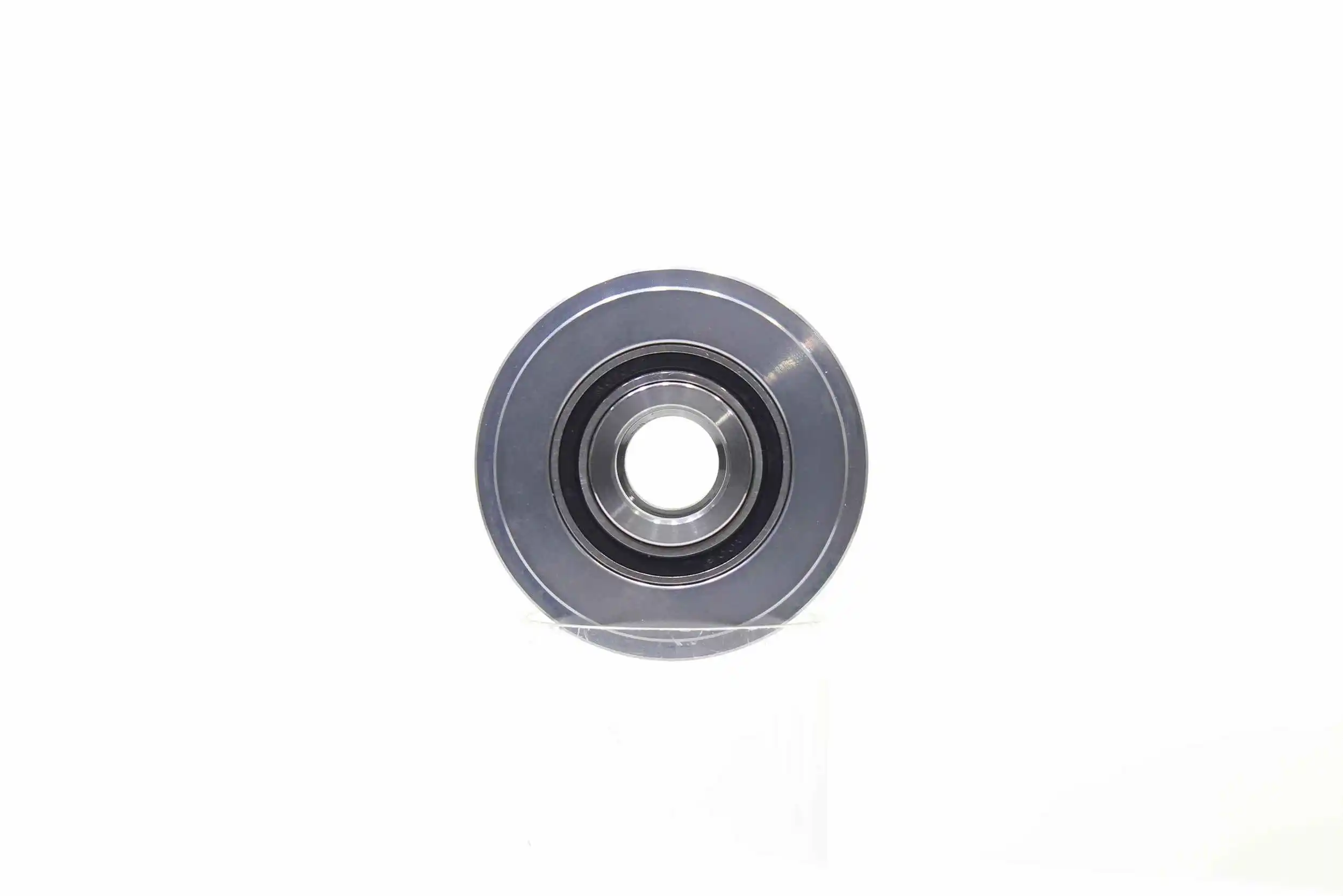 Alternator Freewheel Clutch (10720167)