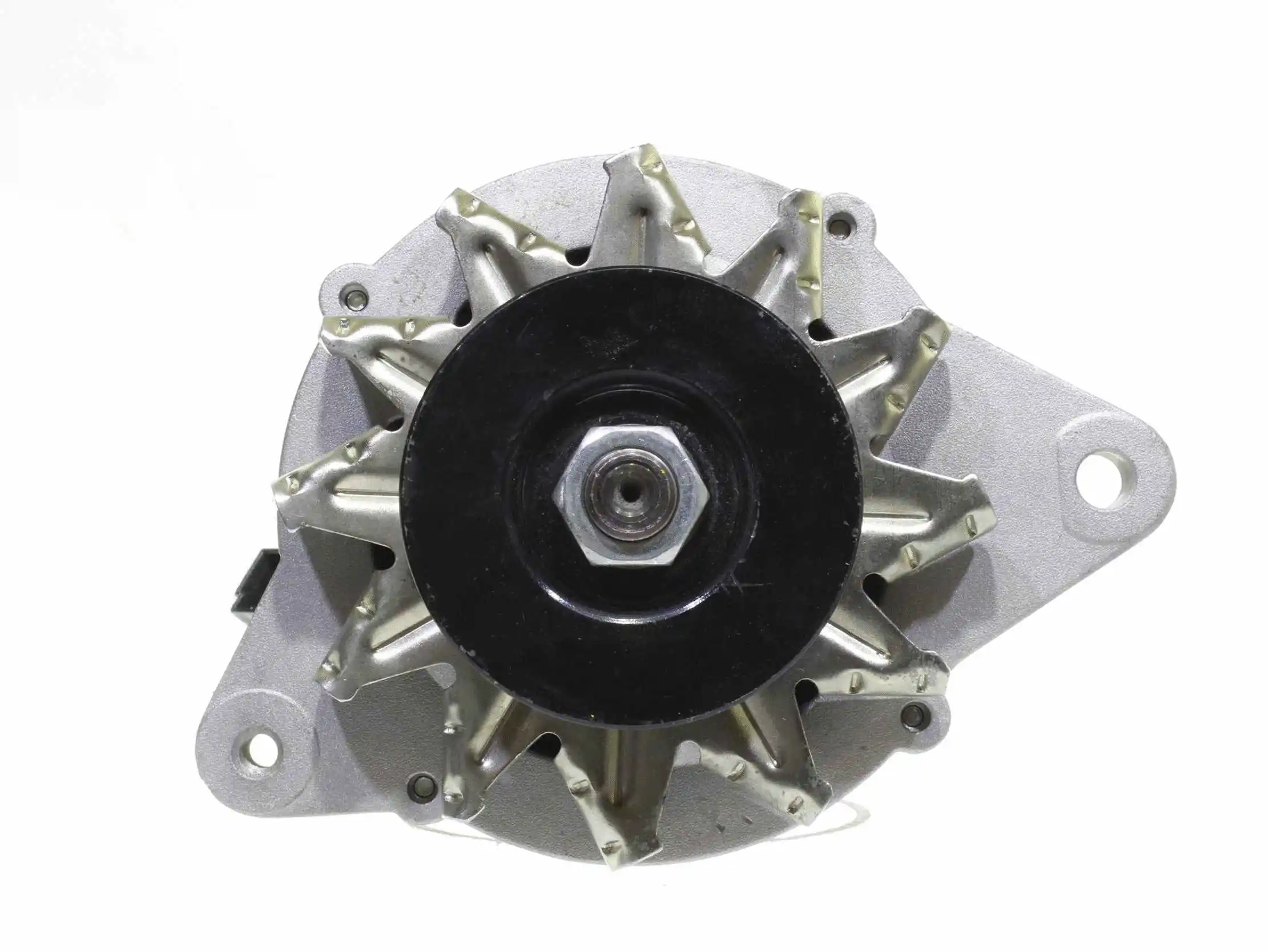 Alternator (10442261)