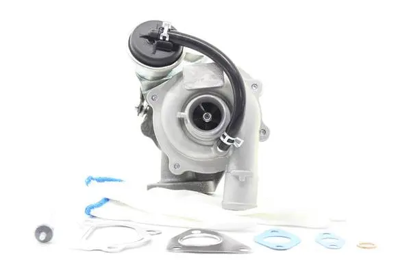 Charger, charging (supercharged/turbocharged) (10900292)