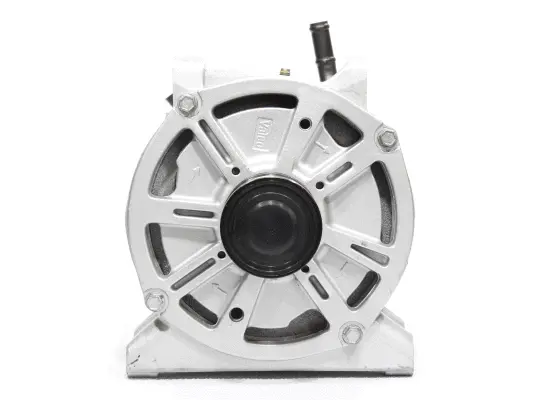 Alternator (10442847)