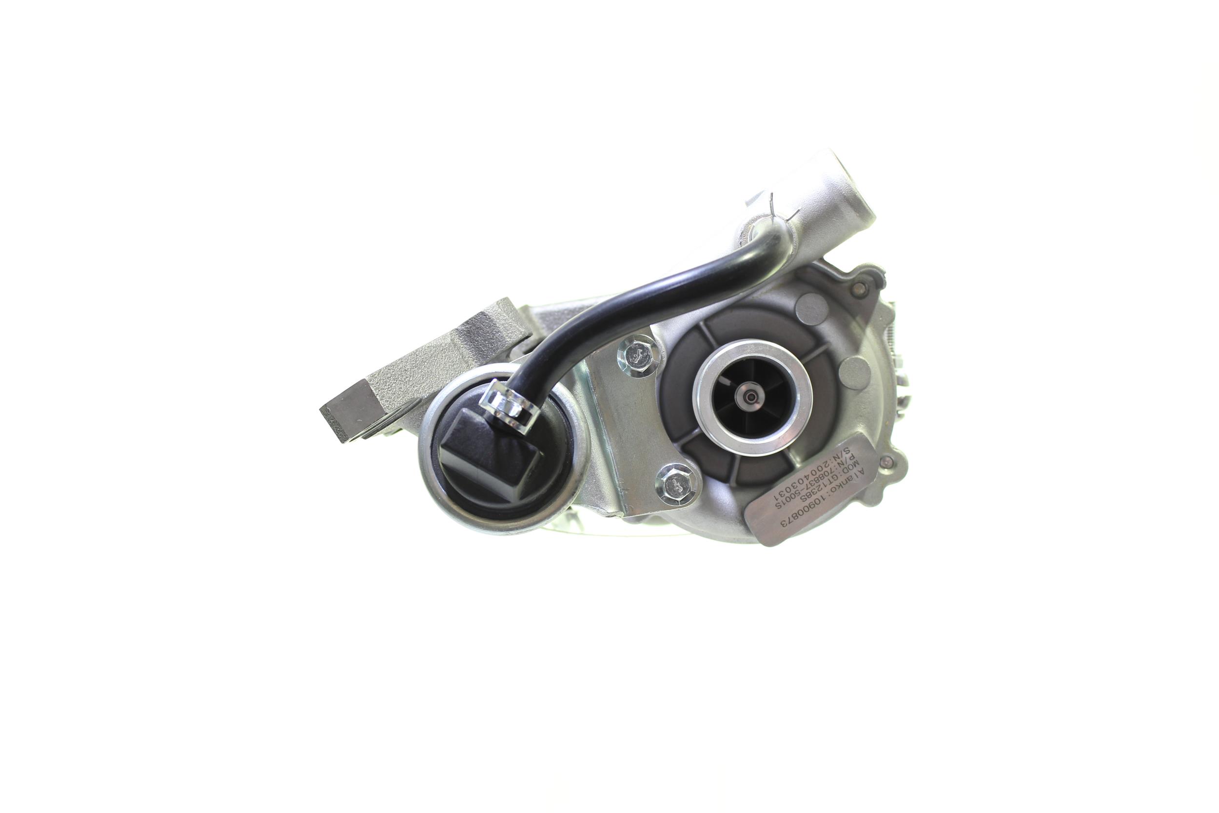 Charger, charging (supercharged/turbocharged) (10900873)