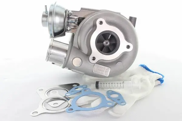 Charger, charging (supercharged/turbocharged) (10900079)