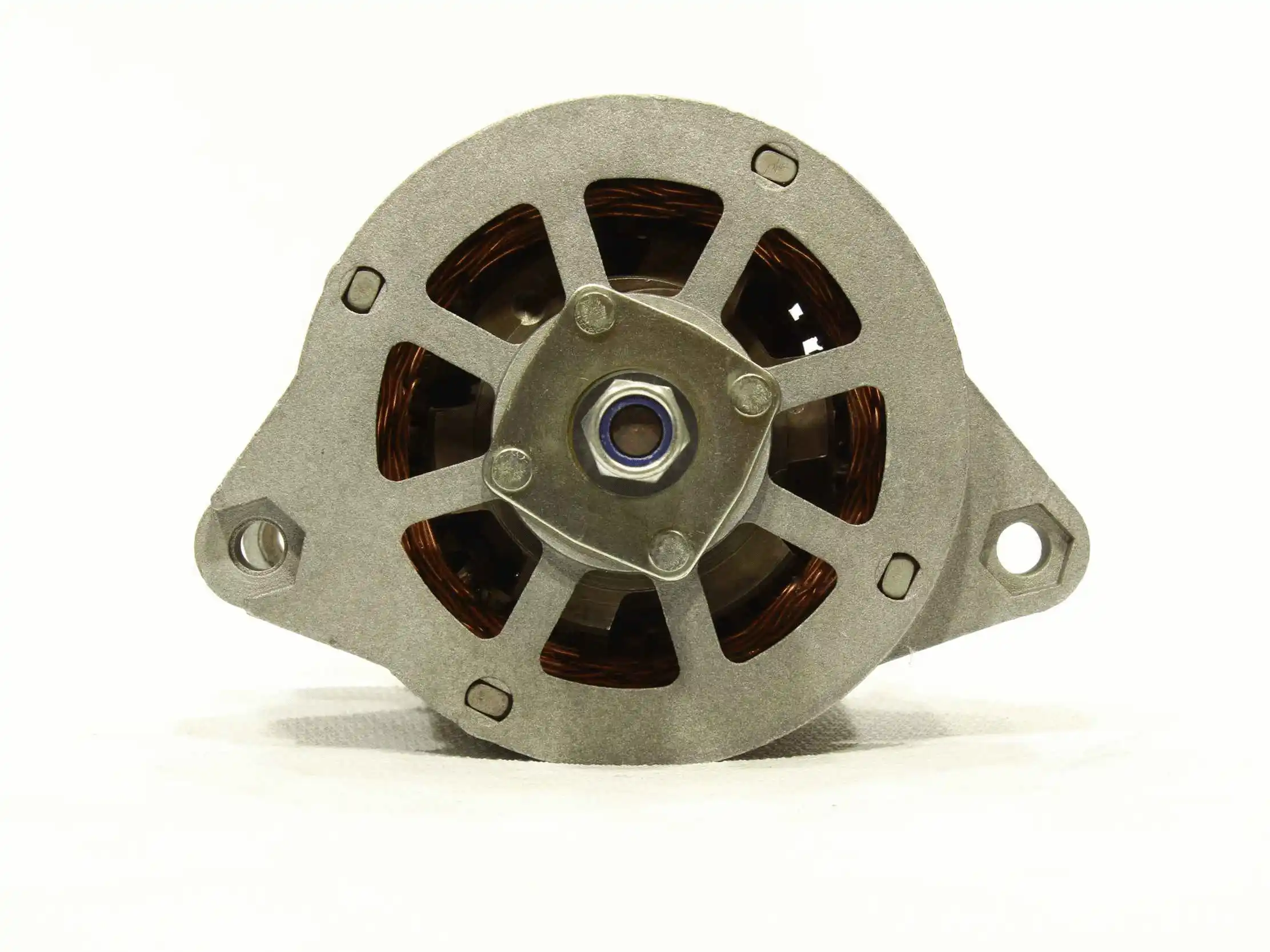 Alternator (10443089)