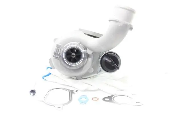 Charger, charging (supercharged/turbocharged) (10900394)