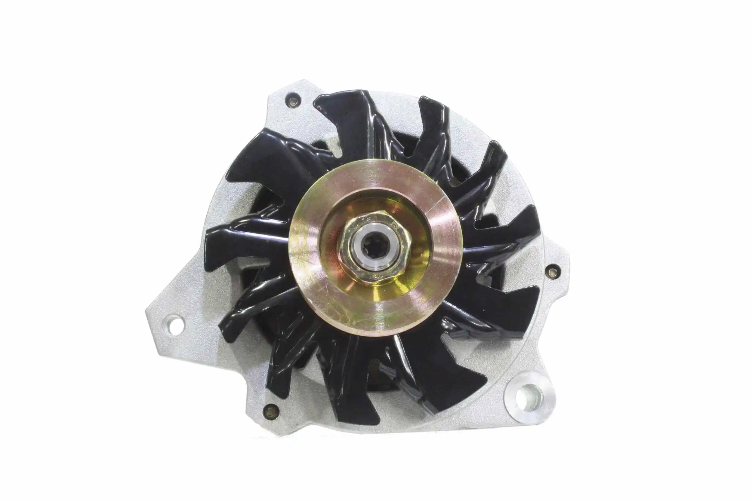 Alternator (10443873)