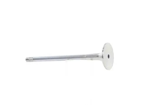 Exhaust Valve