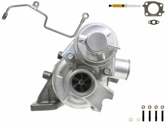 Charger, charging (supercharged/turbocharged) (900012S1)