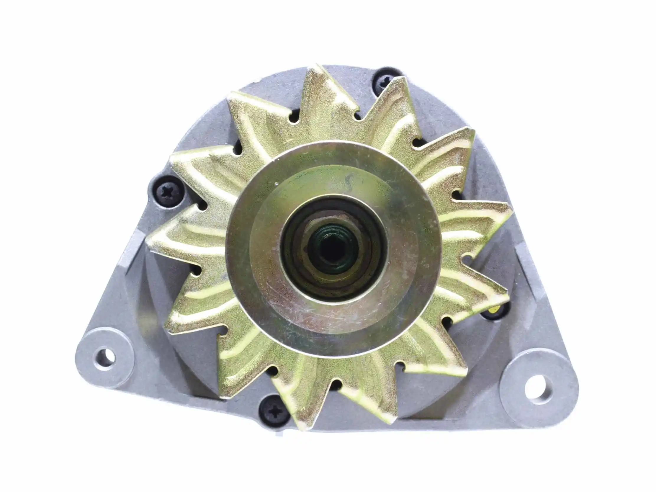 Alternator (10441698)