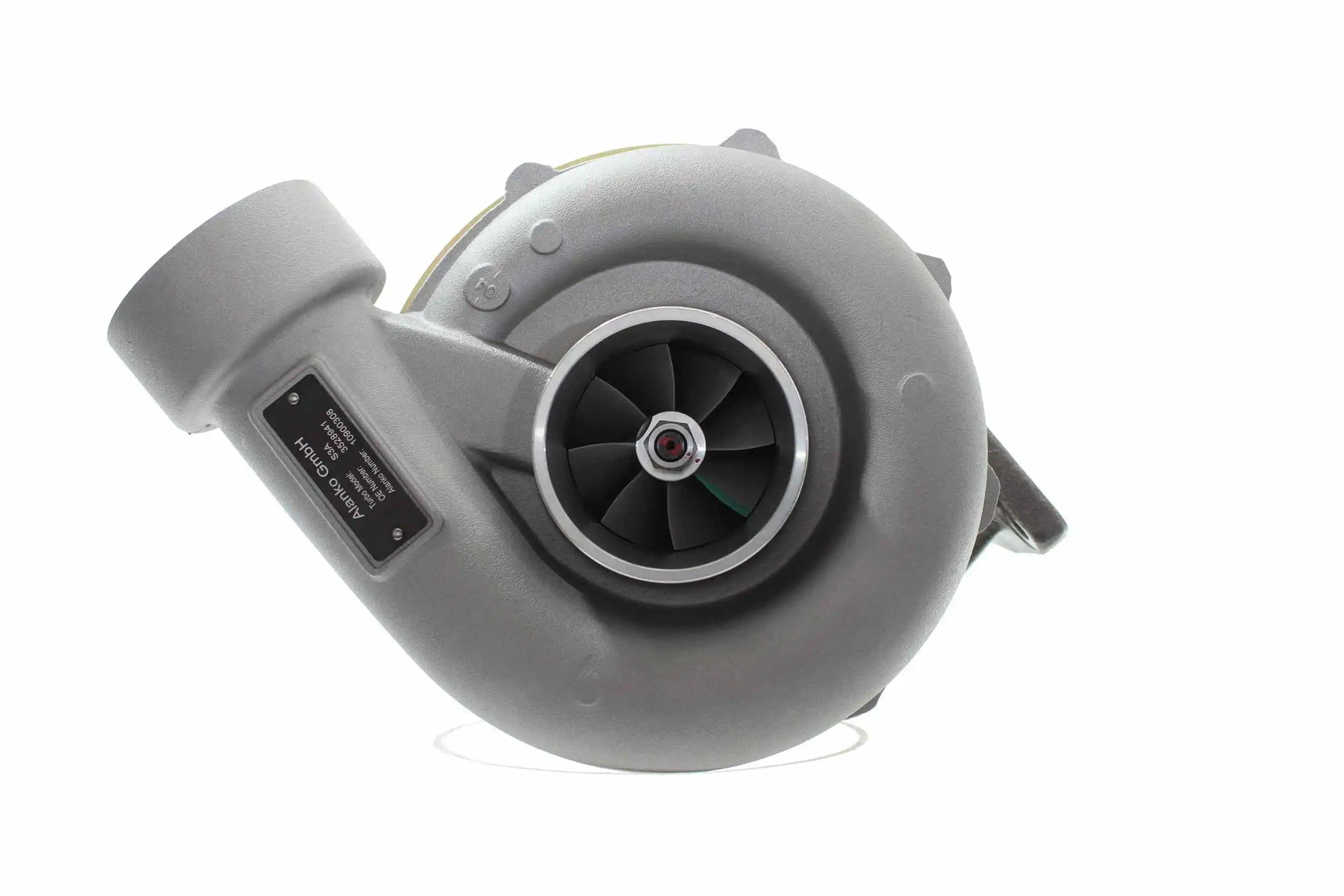 Charger, charging (supercharged/turbocharged) (10900308)