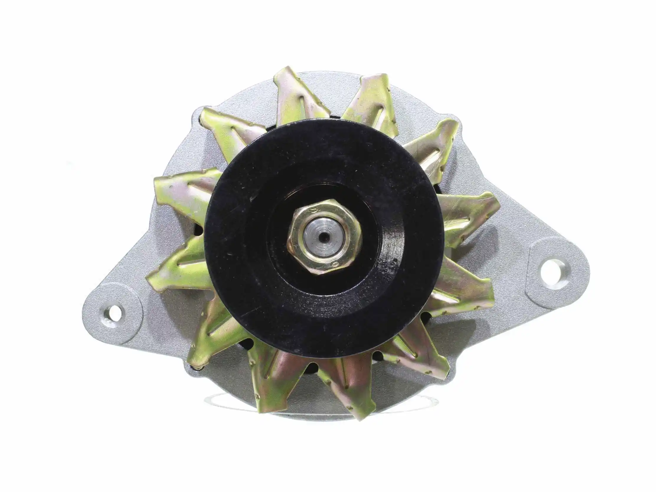 Alternator (10441871)