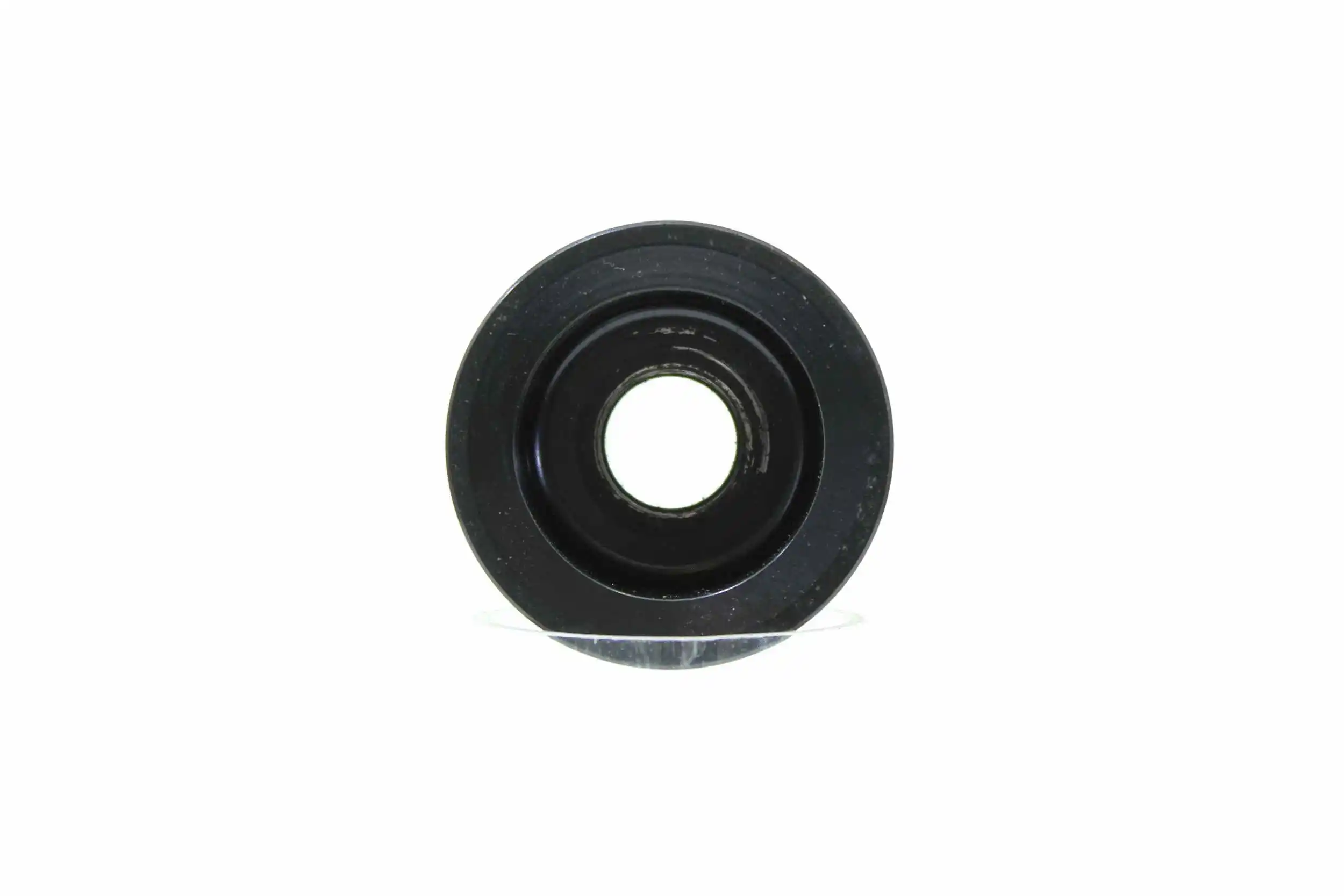 Belt Pulley, alternator (10723019)