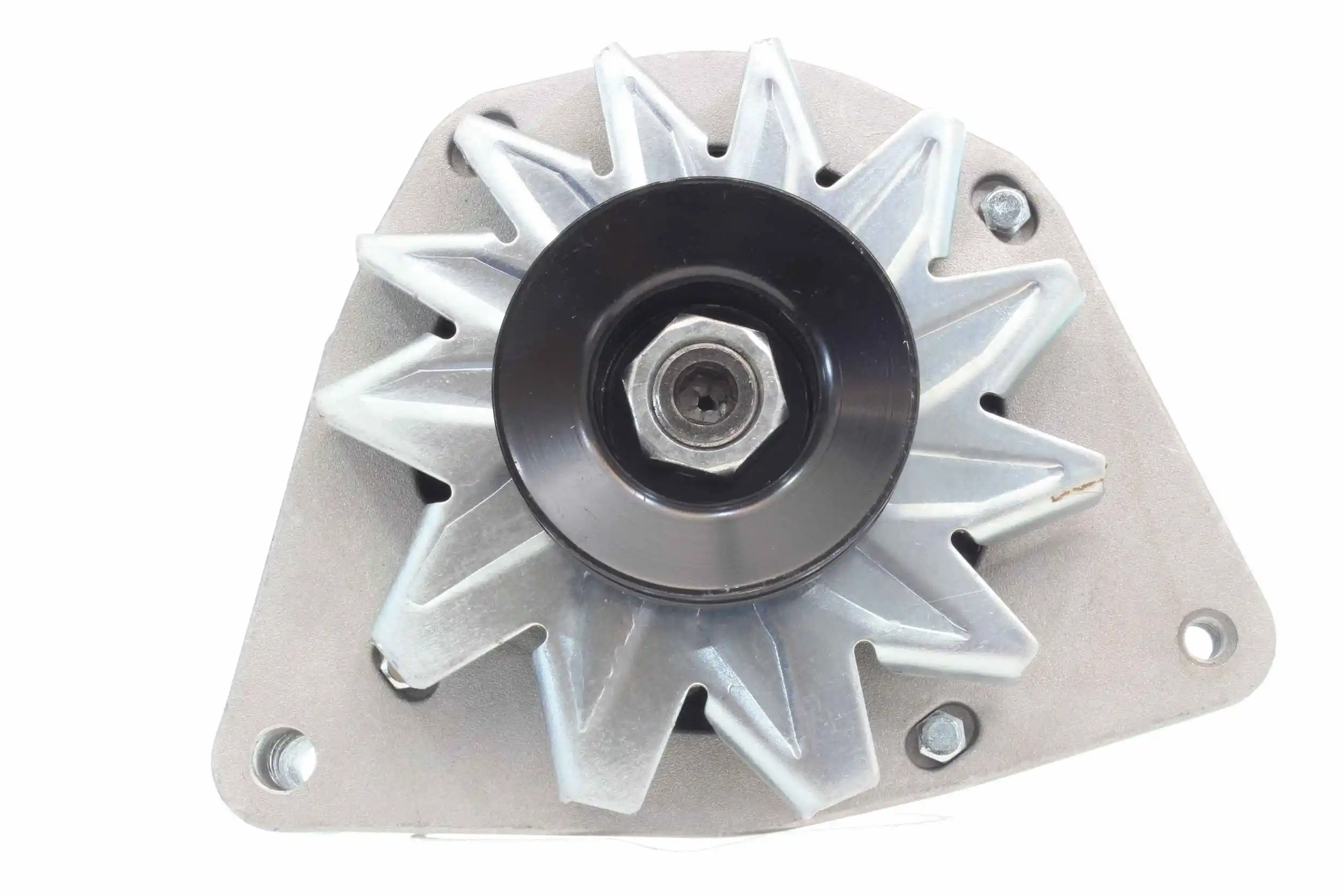 Alternator (10442066)