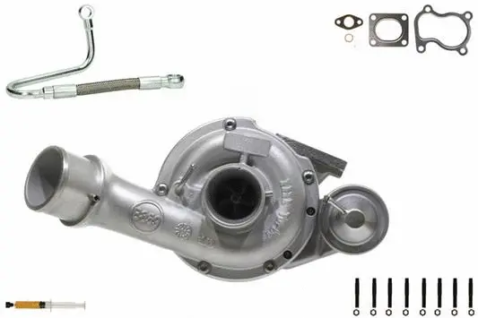 Charger, charging (supercharged/turbocharged) (900494S1)