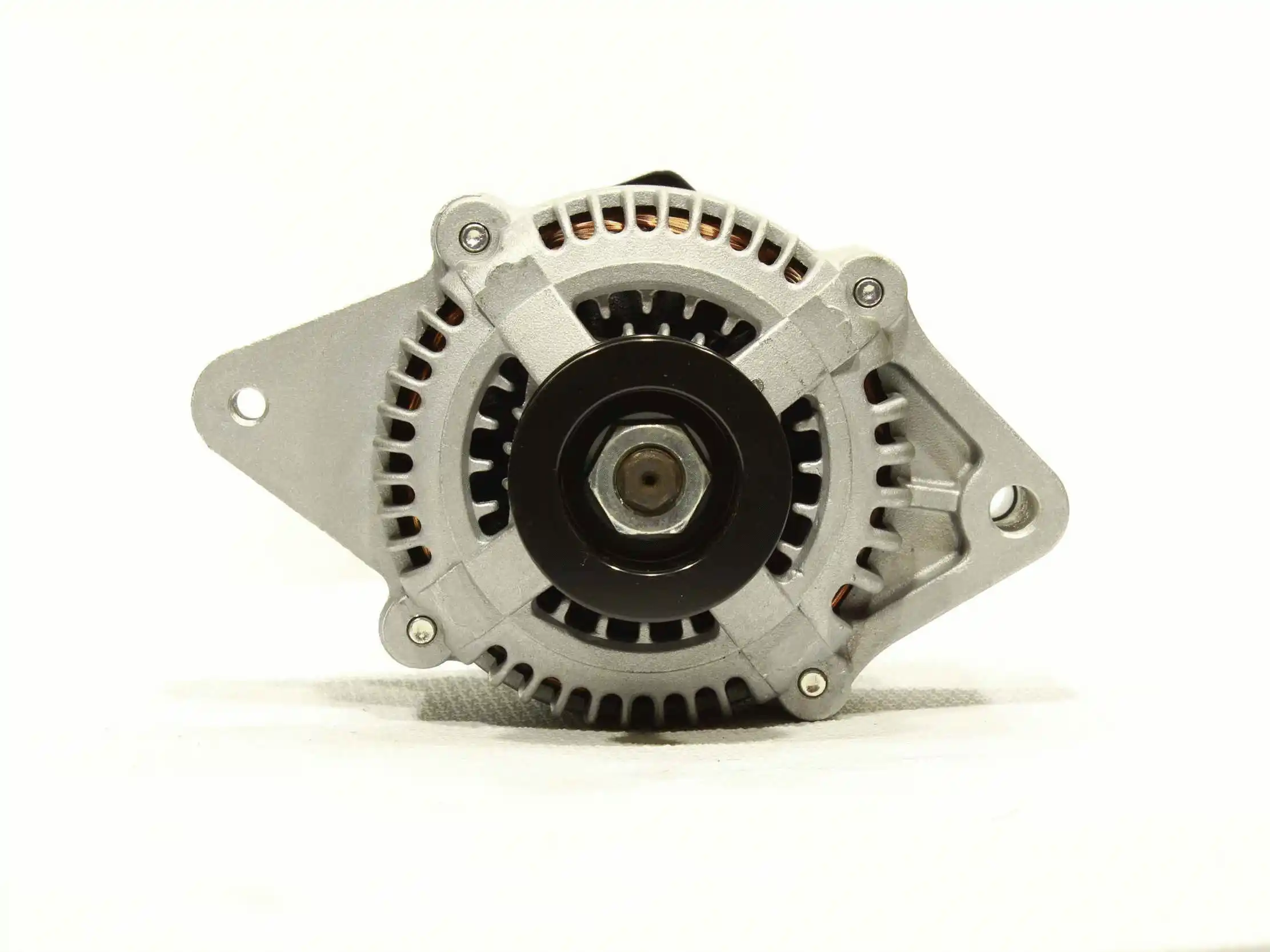 Alternator (10441846)
