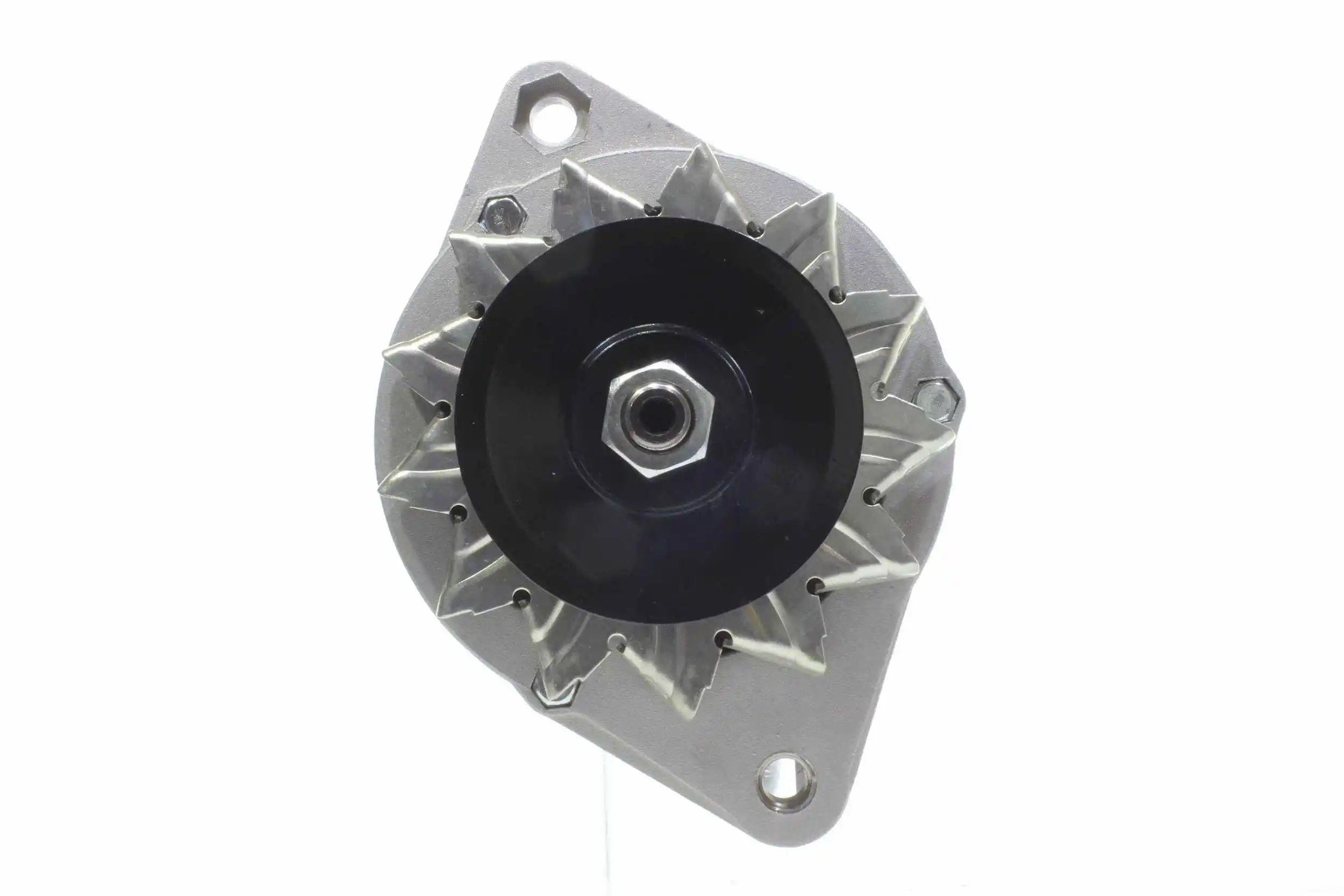 Alternator (10441842)