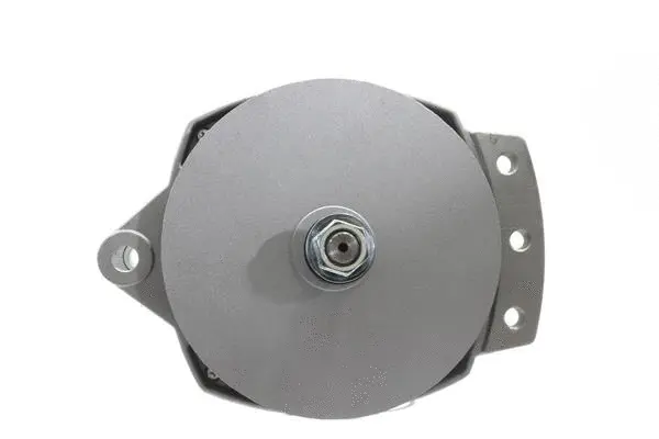 Alternator (10441381)