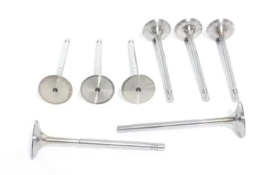 Intake Valve (10998014)