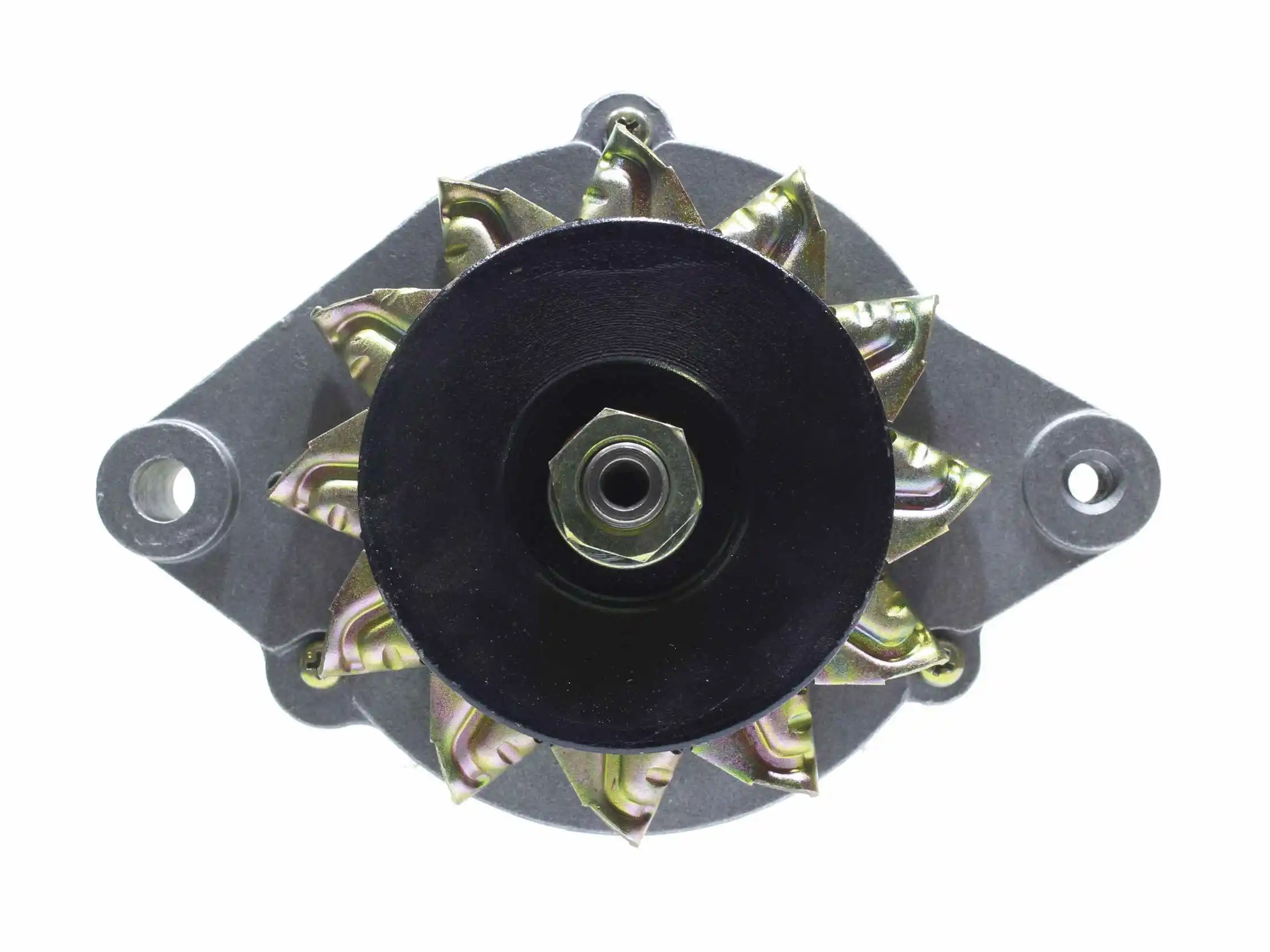 Alternator (10443119)
