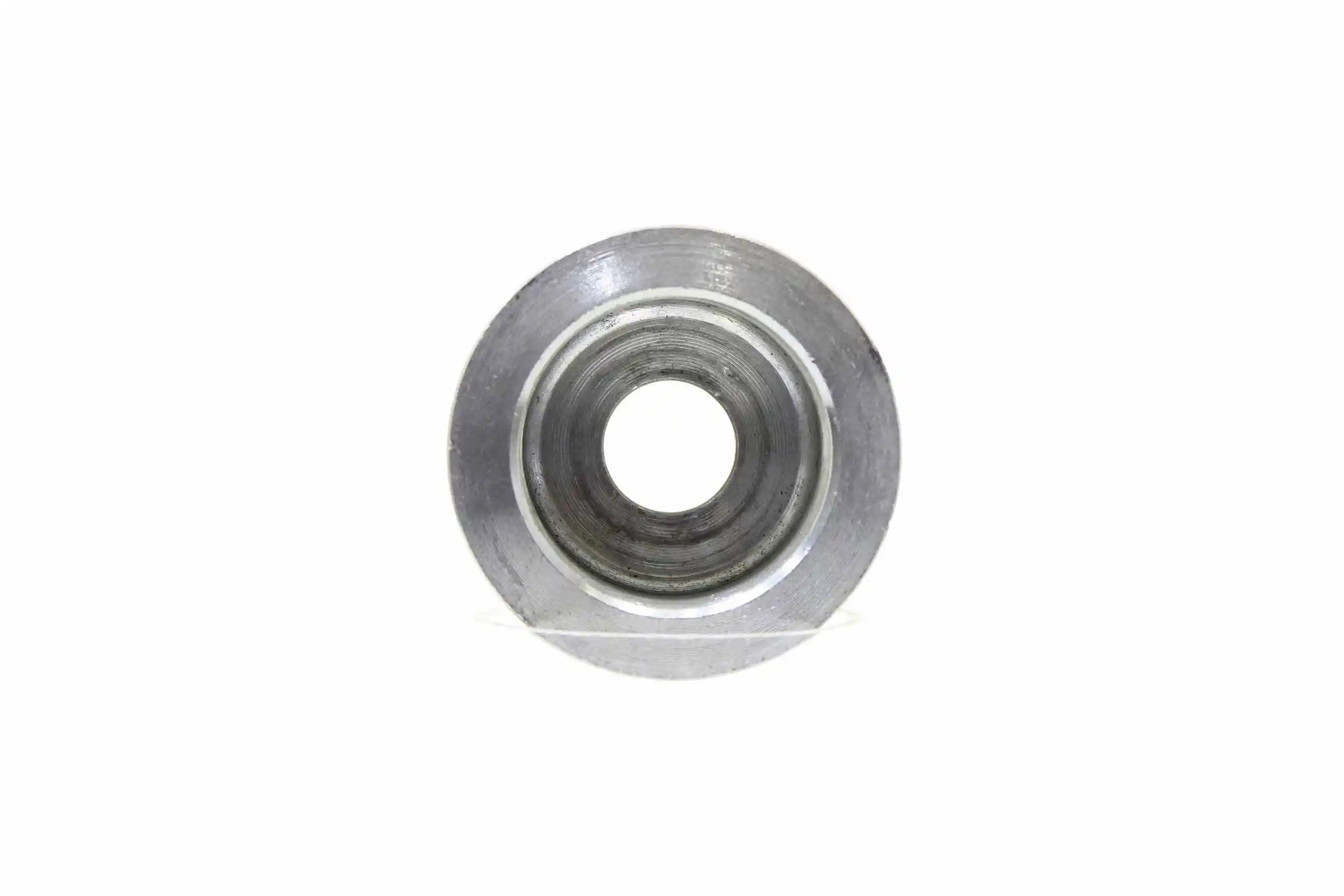 Belt Pulley, alternator (10723032)