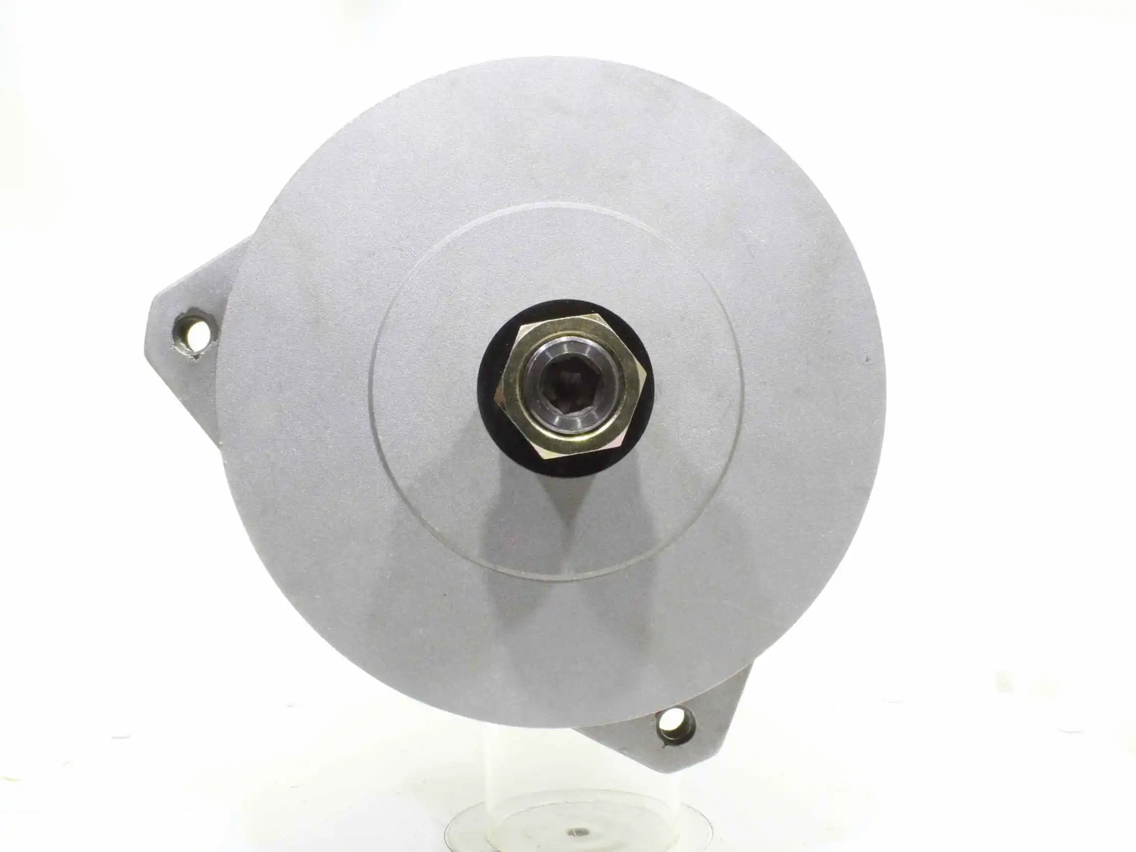 Alternator (10441949)