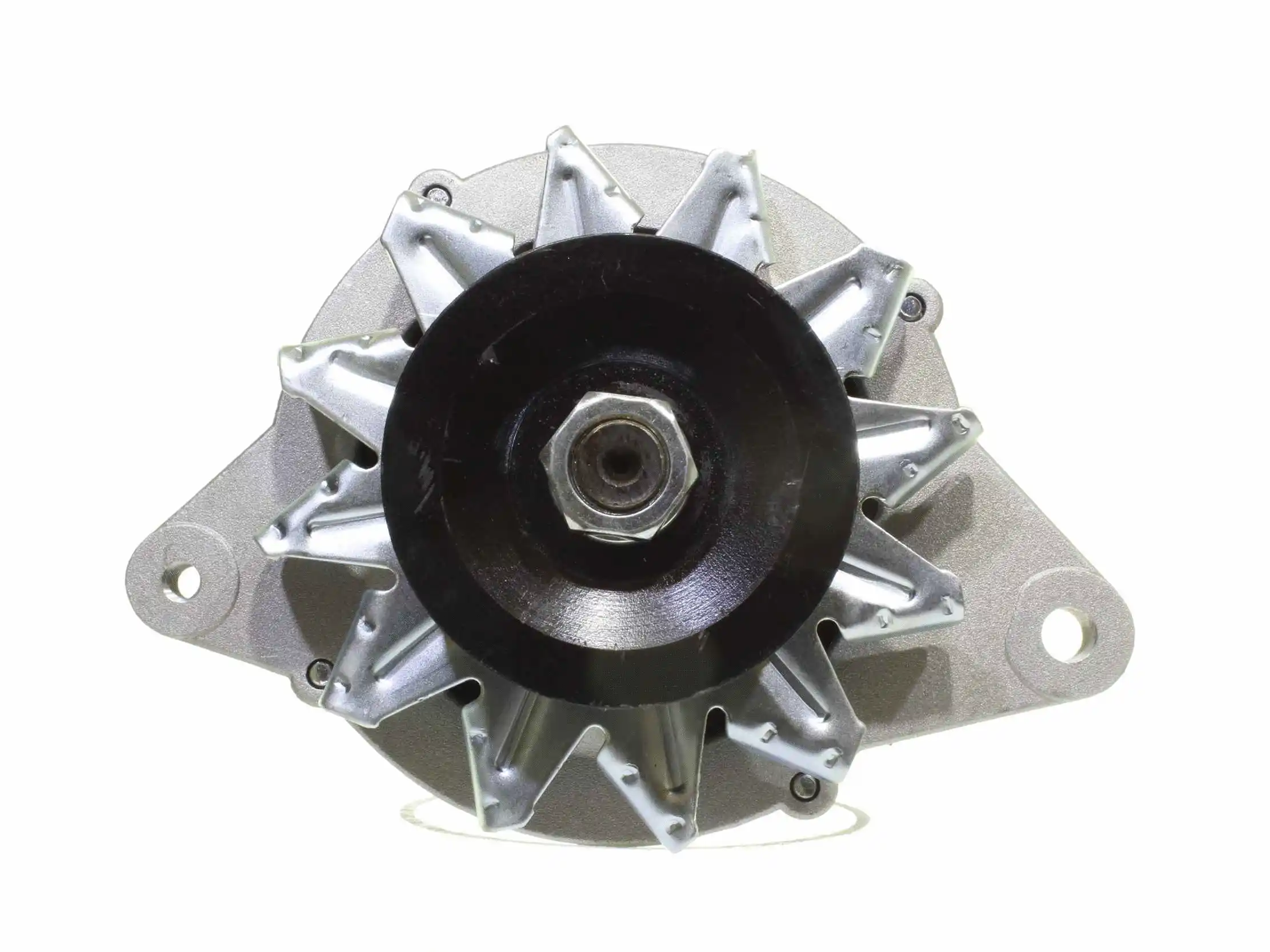 Alternator (10441719)